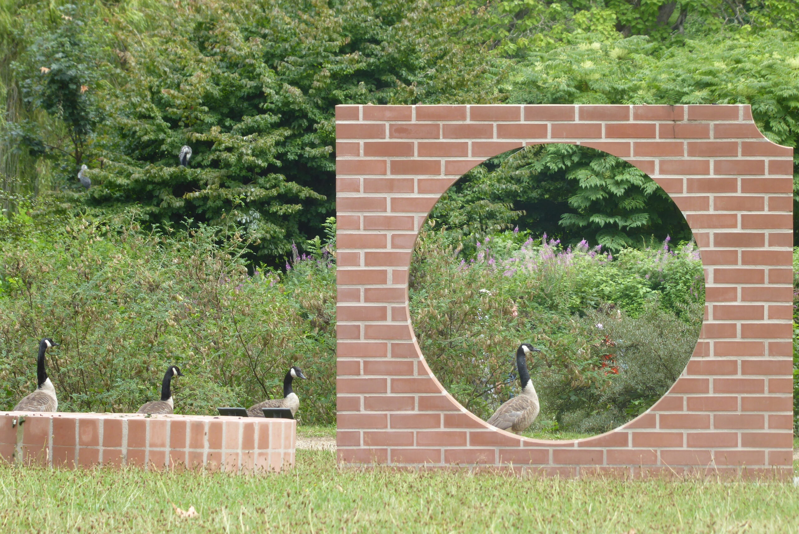 Spielwiese 1 spielwies2 scaled